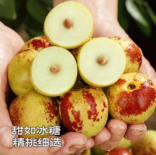 脆甜冬枣500g左右 商品图0