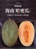 FX海南哈密瓜 商品缩略图0