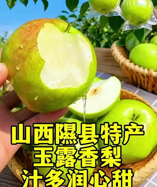 山西玉露香梨3斤左右 商品图0