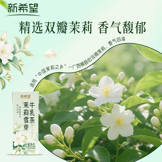 新希望 茉莉雪芽牛乳茶200ml*12盒  精选双瓣茉莉  真茶萃取 茶味甘醇  48小时发货 商品图2