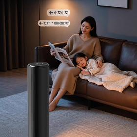 艾美特(510702)暖风机HP22-SR125家用壁炉取暖器办公室小型电暖气节能省电