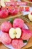 FX烟台红富士苹果 商品缩略图1