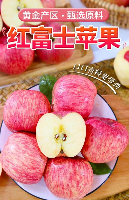 FX烟台红富士苹果 商品图1