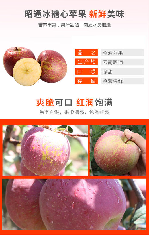 FX昭通丑苹果 商品图2