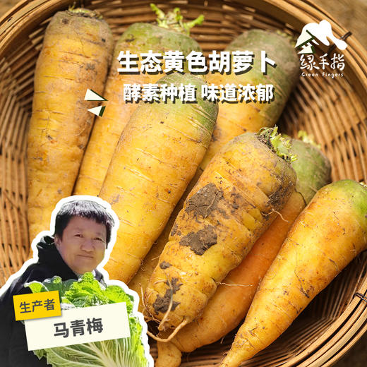 生态黄色胡萝卜 | 合作生产*Ecological carrot | Partner Production 商品图0