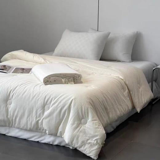 宜居生活三明治提花蚕丝被250 商品图0