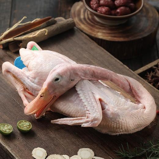 安吉溪水老鸭（整只）（鲜品） 1000g/只 商品图0