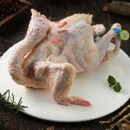 青脚鸡（整只） 1.1Kg/只 商品图0