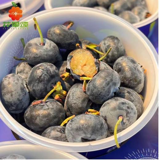 【超甜蓝莓】蓝莓杯 一盒100克 商品图0