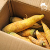 生态黄色胡萝卜 | 合作生产*Ecological carrot | Partner Production 商品缩略图2
