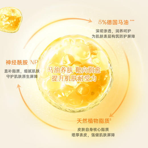 格丽松马油面霜第四代70g/118184 弹润紧致 清爽保湿 商品图2