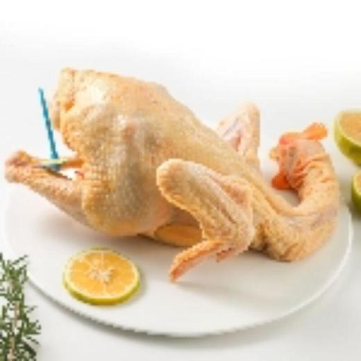 本鸡（整只） 1.2kg/只 商品图0