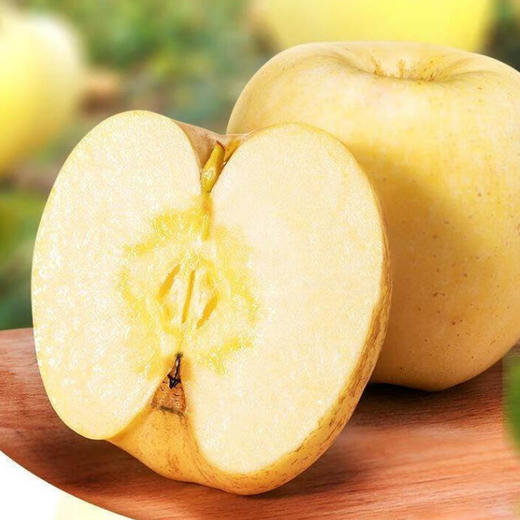 黄金维纳斯苹果 商品图0