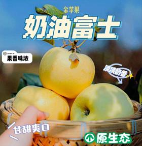 山东烟台奶油富士苹果