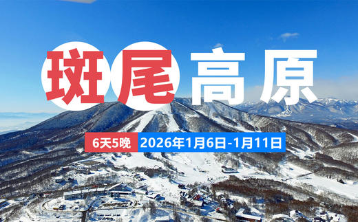 【25/26雪季】1月6日~1月11日 日本长野斑尾 商品图0