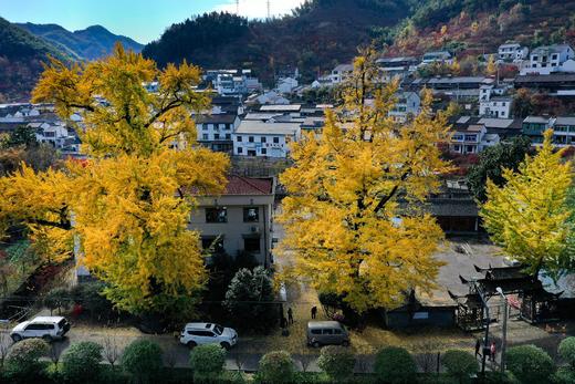 “轻车赴秋 四明山叙”——2天1晚赏秋自驾雅集 商品图2