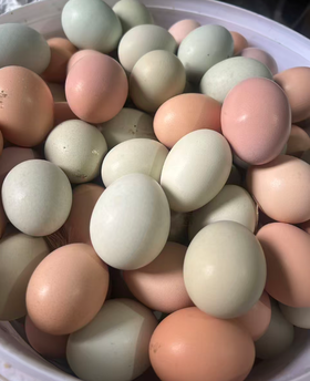 2025凉水河土鸡蛋（枚）