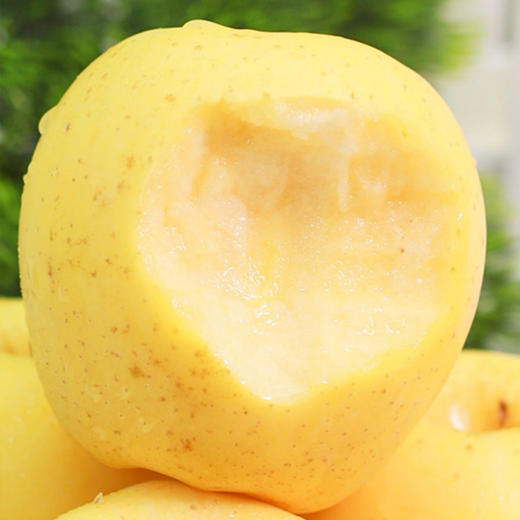 黄金维纳斯苹果 商品图1