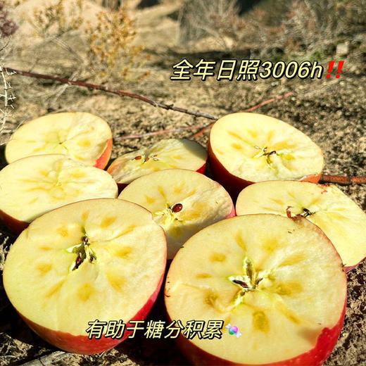 洛川糖心苹果 商品图2