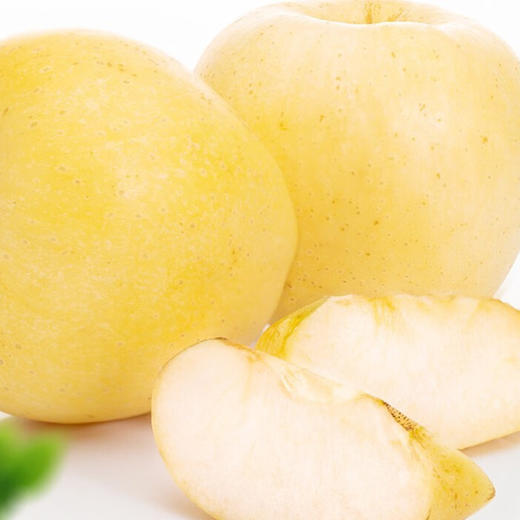 黄金维纳斯苹果 商品图2