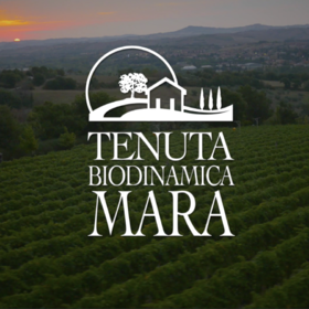 【2025.11.10 东湖门票 Donghu Ticket】Tenuta Mara酒庄