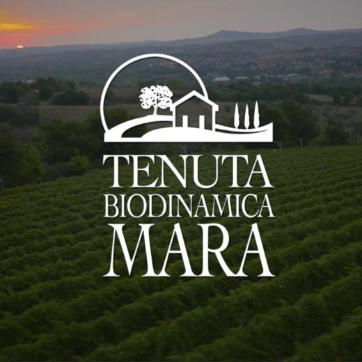 【2025.11.10 东湖门票 Donghu Ticket】Tenuta Mara酒庄 商品图0