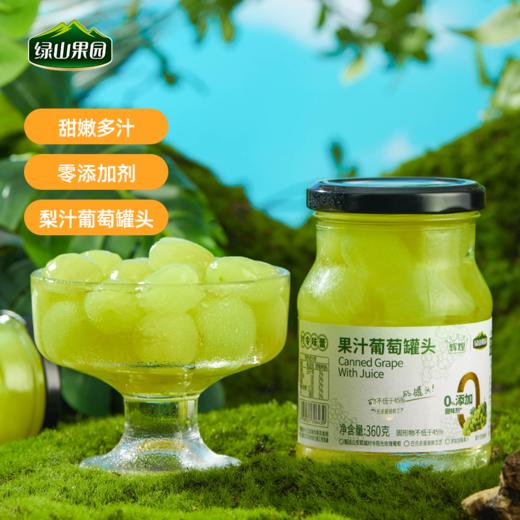 绿山果园 罐头360g*4罐 果汁水果罐头  即食低脂食品 优选原料 饱满多汁的口感  72小时发货 商品图4