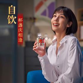 郎酒小郎酒经典款45度白酒100ml便携小瓶装