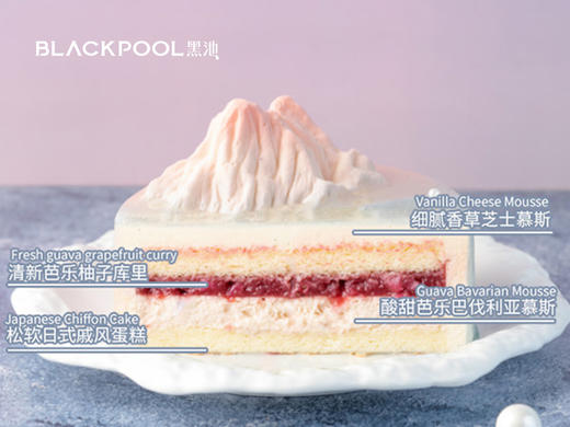 （配送到家）【海岛假日】芭乐柚子香草芝士慕斯 商品图3