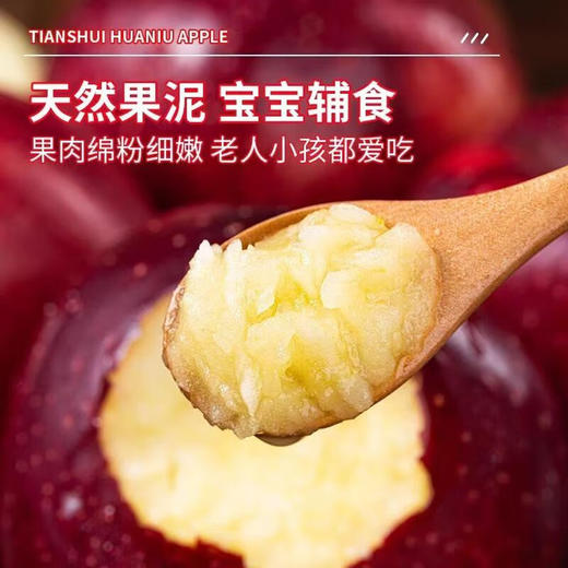 【分仓直发包邮】甘肃天水高山花牛苹果4.5斤彩箱装中果 商品图2