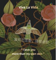 荆棘蜂鸟徽章胸针 商品图0