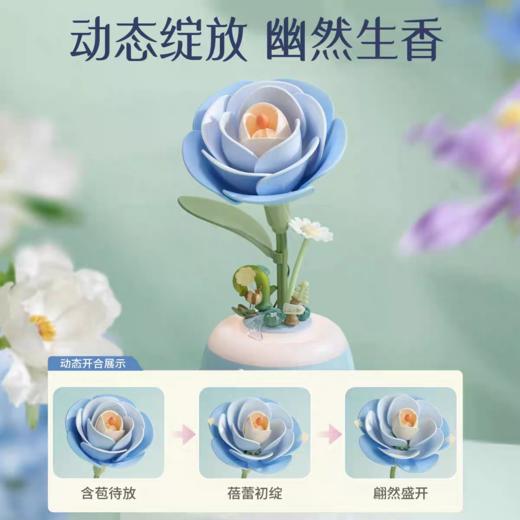 Rowood若物香薰灯 商品图1