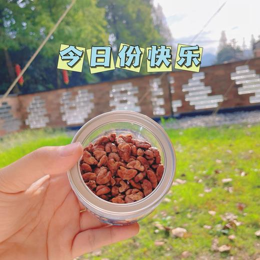 硬核队长山核桃仁 商品图6