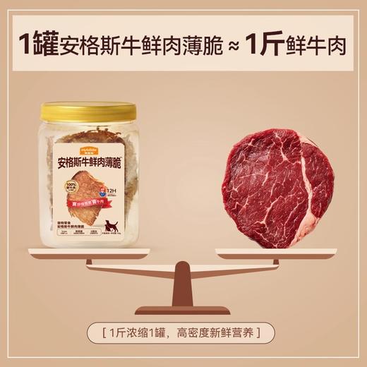麦富迪狗狗零食鲜肉薄脆牛肉磨牙棒奖励互动犬猫通用肉干宠物零食 商品图4