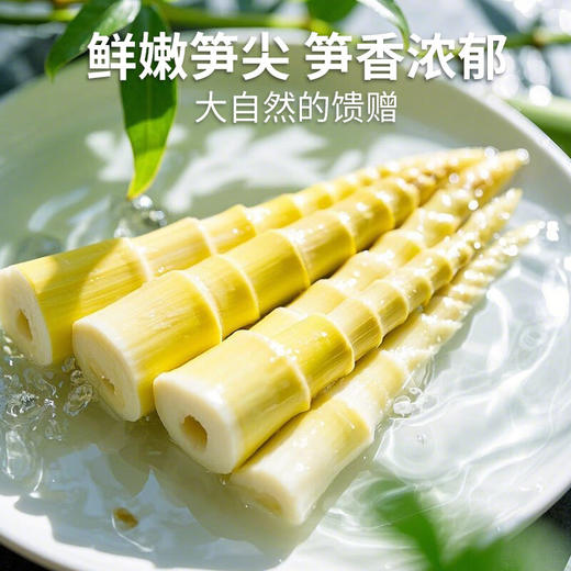 古松火锅笋尖248g 商品图1