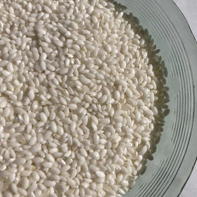 【大理粳米】苍山脚下生态种植一年一季不抛光不打蜡/25年新米 含胚芽营养更丰富 5斤/袋包邮