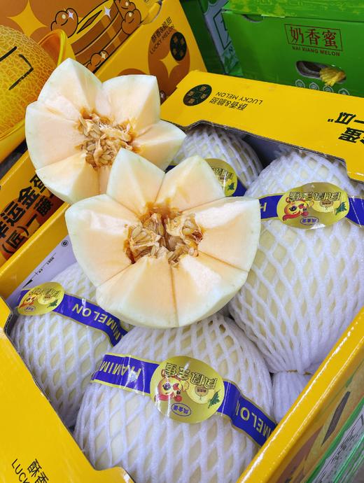 凤凰金蛋哈密瓜一个 商品图2