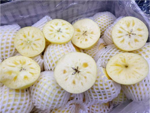 牛奶阿克苏冰糖心苹果5斤 商品图0