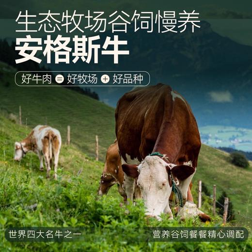 麦富迪狗狗零食鲜肉薄脆牛肉磨牙棒奖励互动犬猫通用肉干宠物零食 商品图3