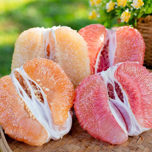 【分仓直发包邮】福建琯溪平和四色香柚8-8.5斤手提箱（三红柚+红心柚+白玉柚+黄金柚） 商品图0