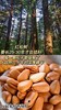 开口松子 商品缩略图6