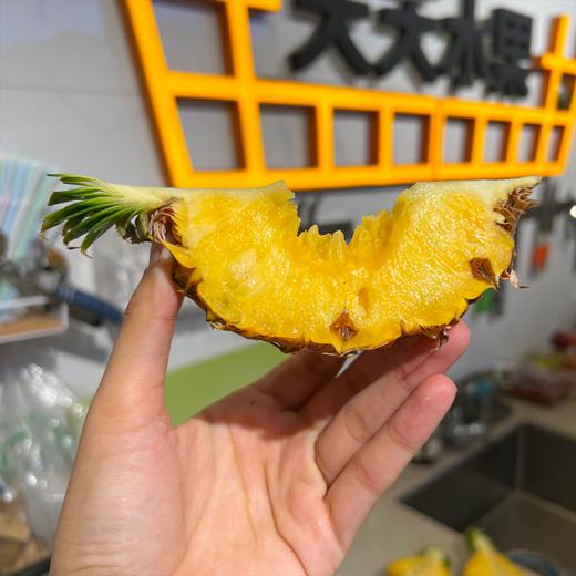 芒果凤梨 海南核心产区 菠萝 香甜多汁 商品图5