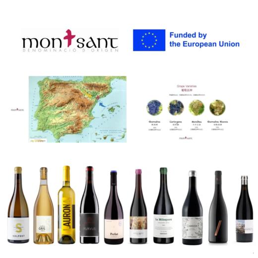 【2025.11.11 武康门票 Wukang Ticket】葡道 x DO MONTSANT大师班 11月11日上海站 商品图0