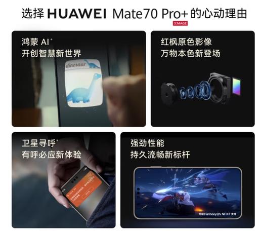 华为 Mate 70 Pro+鸿蒙AI 高亮钛玄武架构 红枫原色影像 华为鸿蒙AI 高亮钛玄武架构 红枫原色影像 华为鸿蒙智能手机 金丝银锦鸿蒙AI 高亮钛玄武架构 商品图2