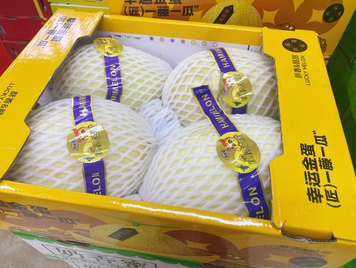 凤凰金蛋哈密瓜一个 商品图1