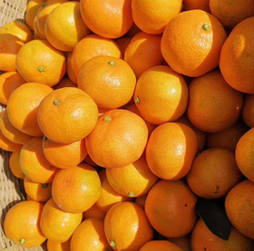 东江湖蜜橘（8个装）
