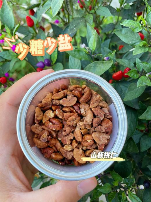 硬核队长山核桃仁 商品图3