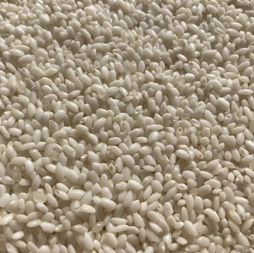 【大理粳米】苍山脚下生态种植一年一季不抛光不打蜡/25年新米 含胚芽营养更丰富 5斤/袋包邮 商品图1