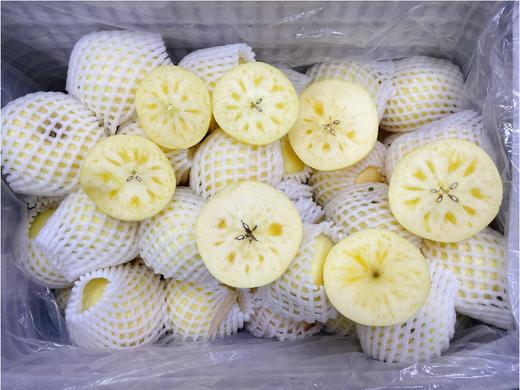 牛奶阿克苏冰糖心苹果5斤 商品图1