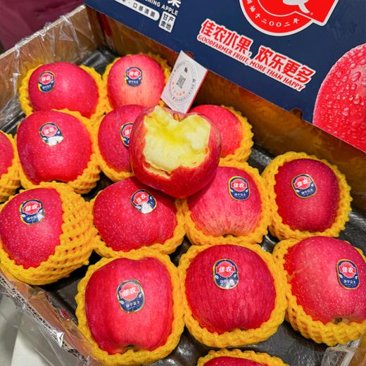 佳农静宁富士苹果 精品大果  甜脆 鲜嫩 商品图2